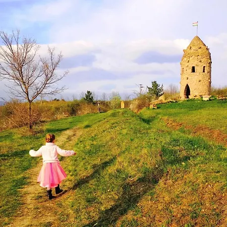 Dorci Vendeghaz - A Piece Of Peace * Cserepfalu